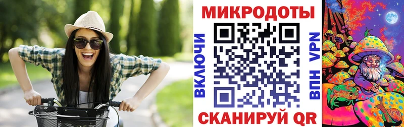 Псилоцибиновые грибы Psilocybine cubensis  Апрелевка 